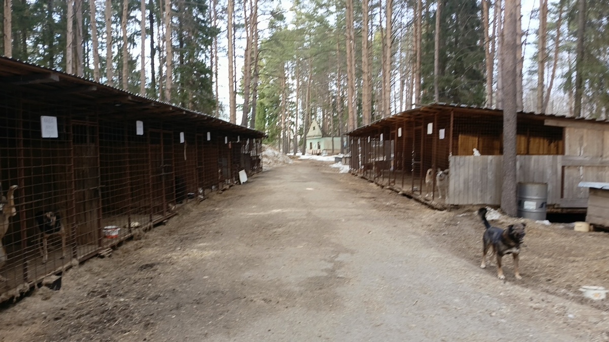 Любимое место волонтёров -джимовцев.