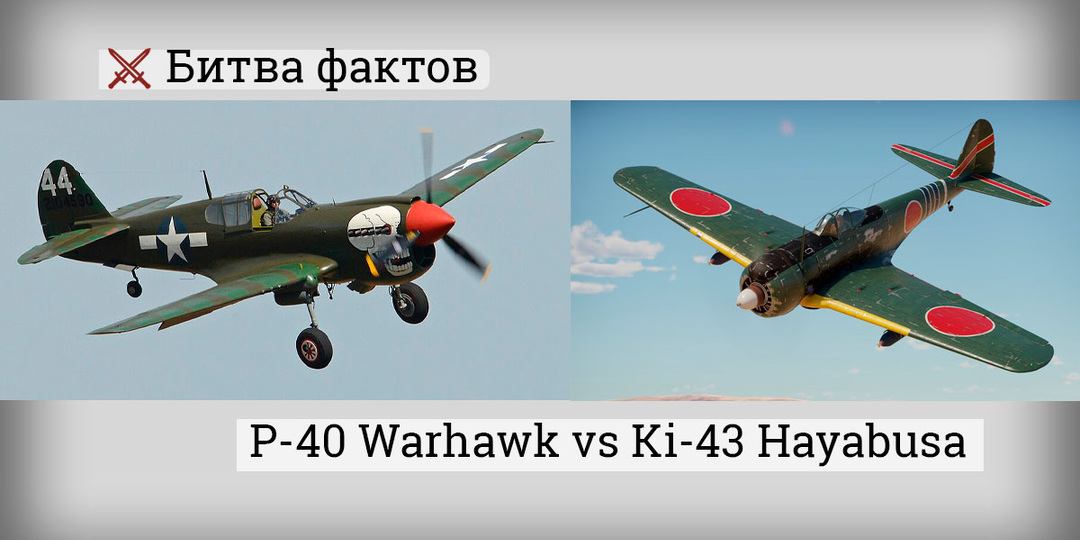 P-40 Warhawk против Ki-43 Hayabusa: броня против виража над Бирмой