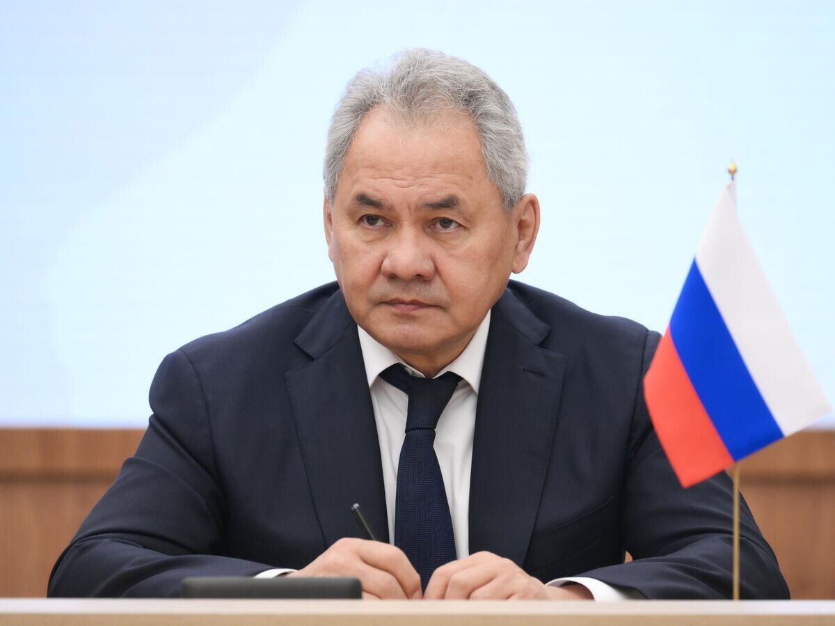    Секретарь Совета безопасности РФ Сергей Шойгу | © РИА Новости / Григорий Сысоев