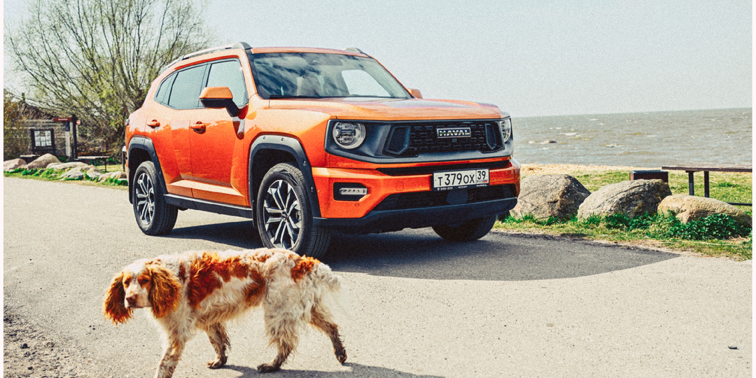 Поездка в Полесск-Заливино: музей "Дом Рыбака" и разрушенная тропа до "Старого Маяка"