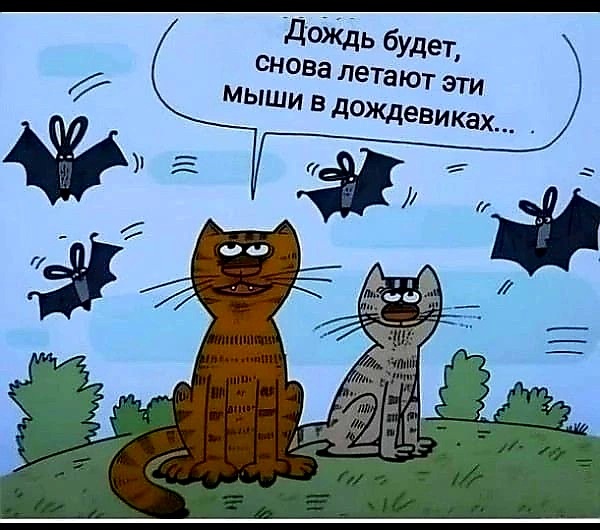 Источник фото найден на просторах Интернета в открытом доступе