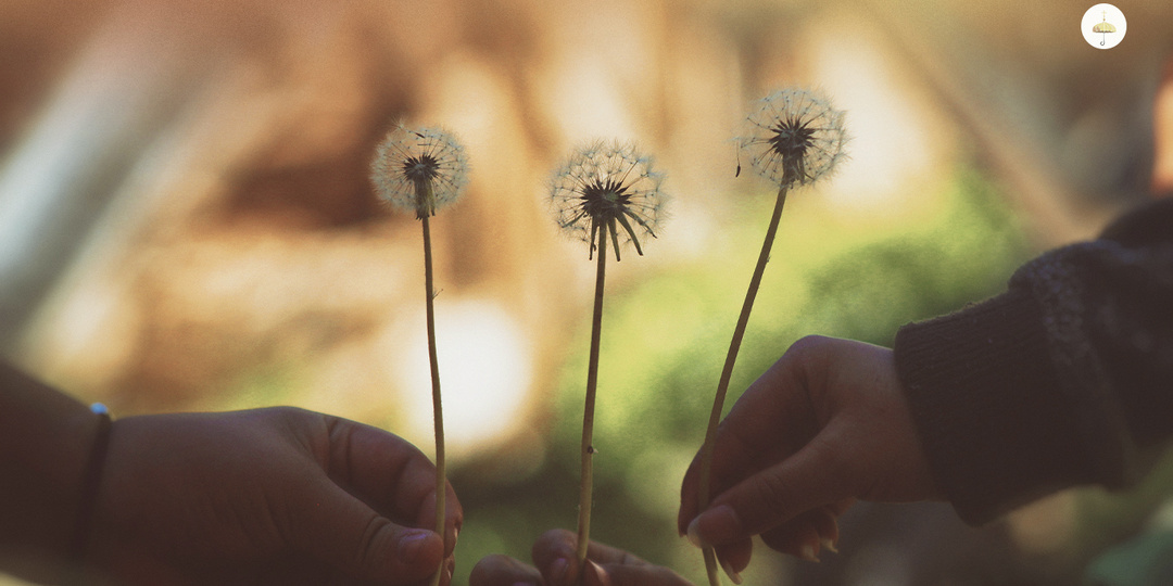 Я живу — или мною живут? О значении христианской антропологии