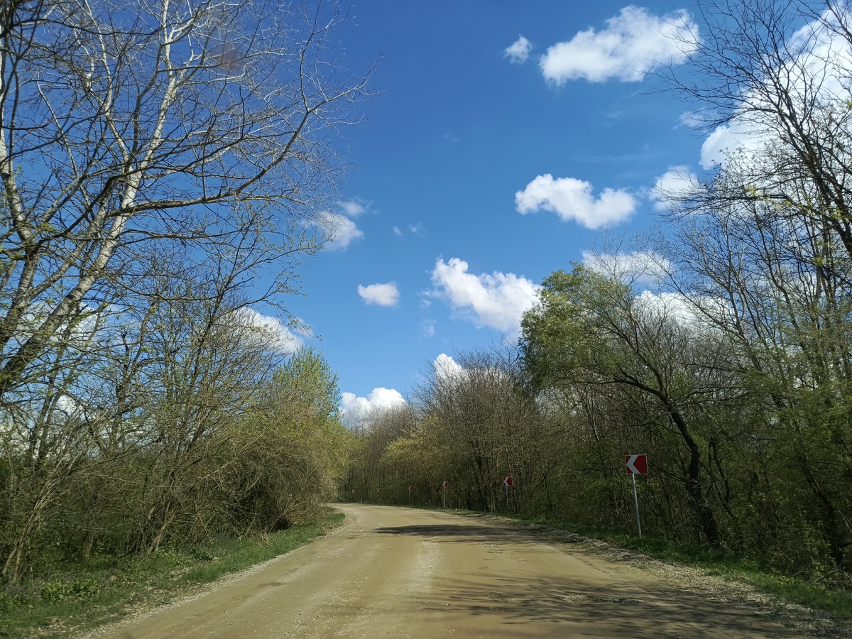 Дорога ведущая в станицу.