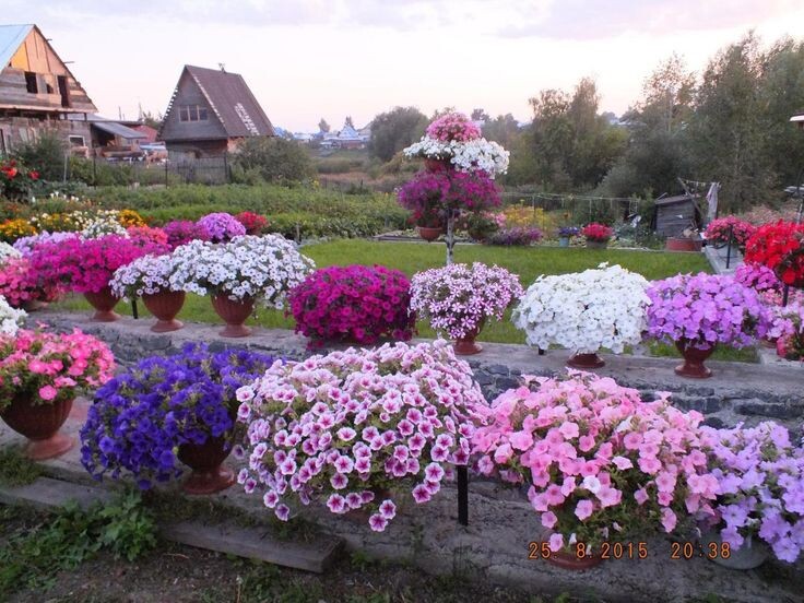 Взято на просторах интернета