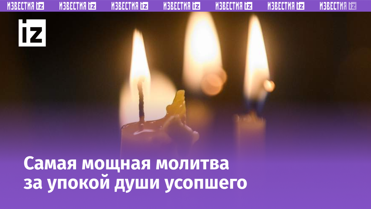 Фото: Global Look Press/Ilya Moskovets