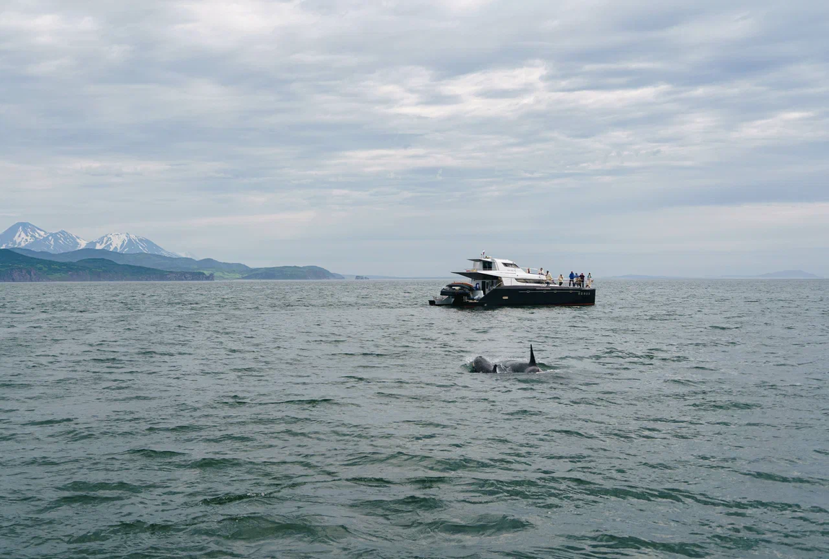 Тур на Камчатку к Тихому океану с командой "Вместе"