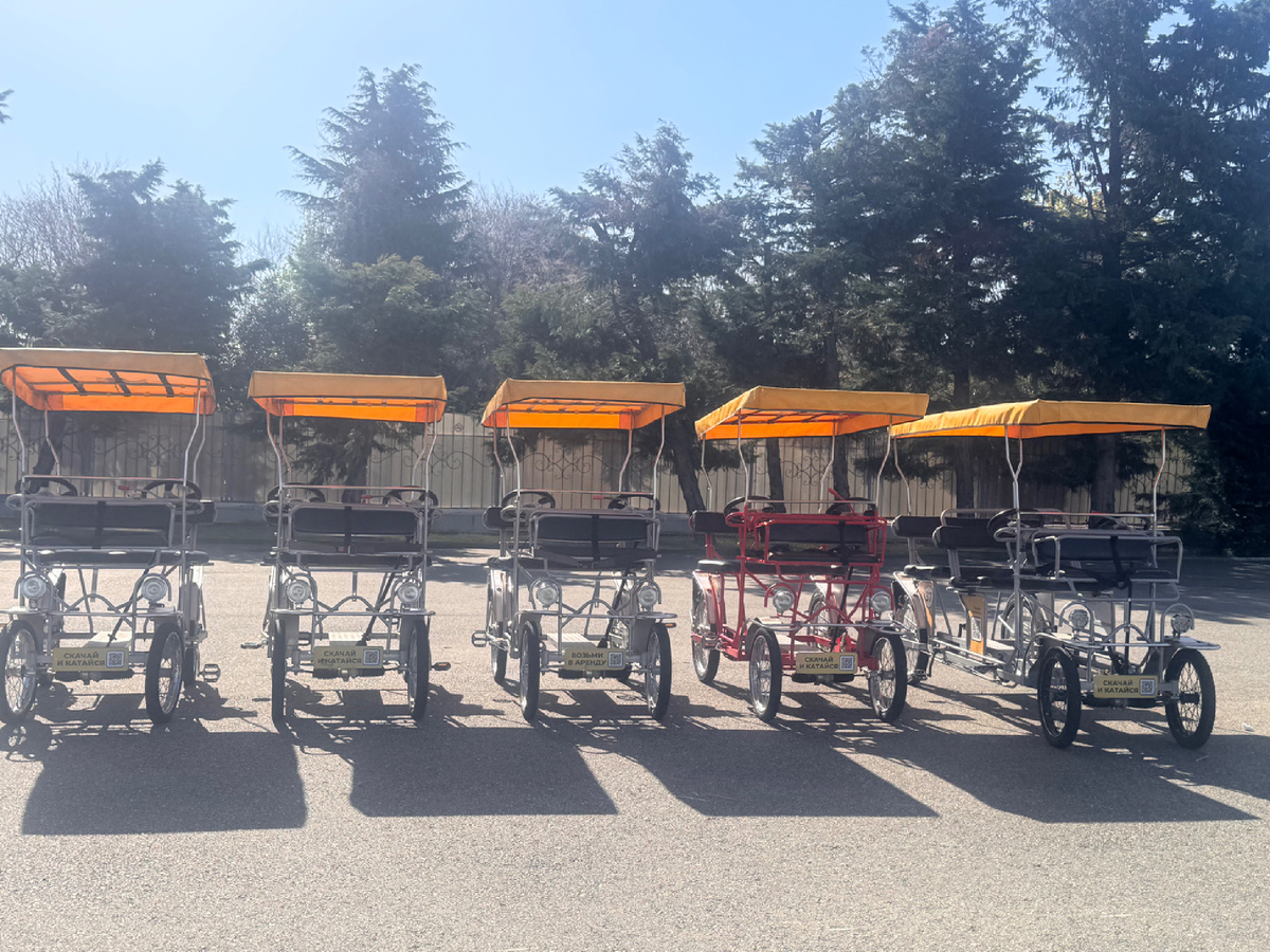 Техника на прокат разнообразна