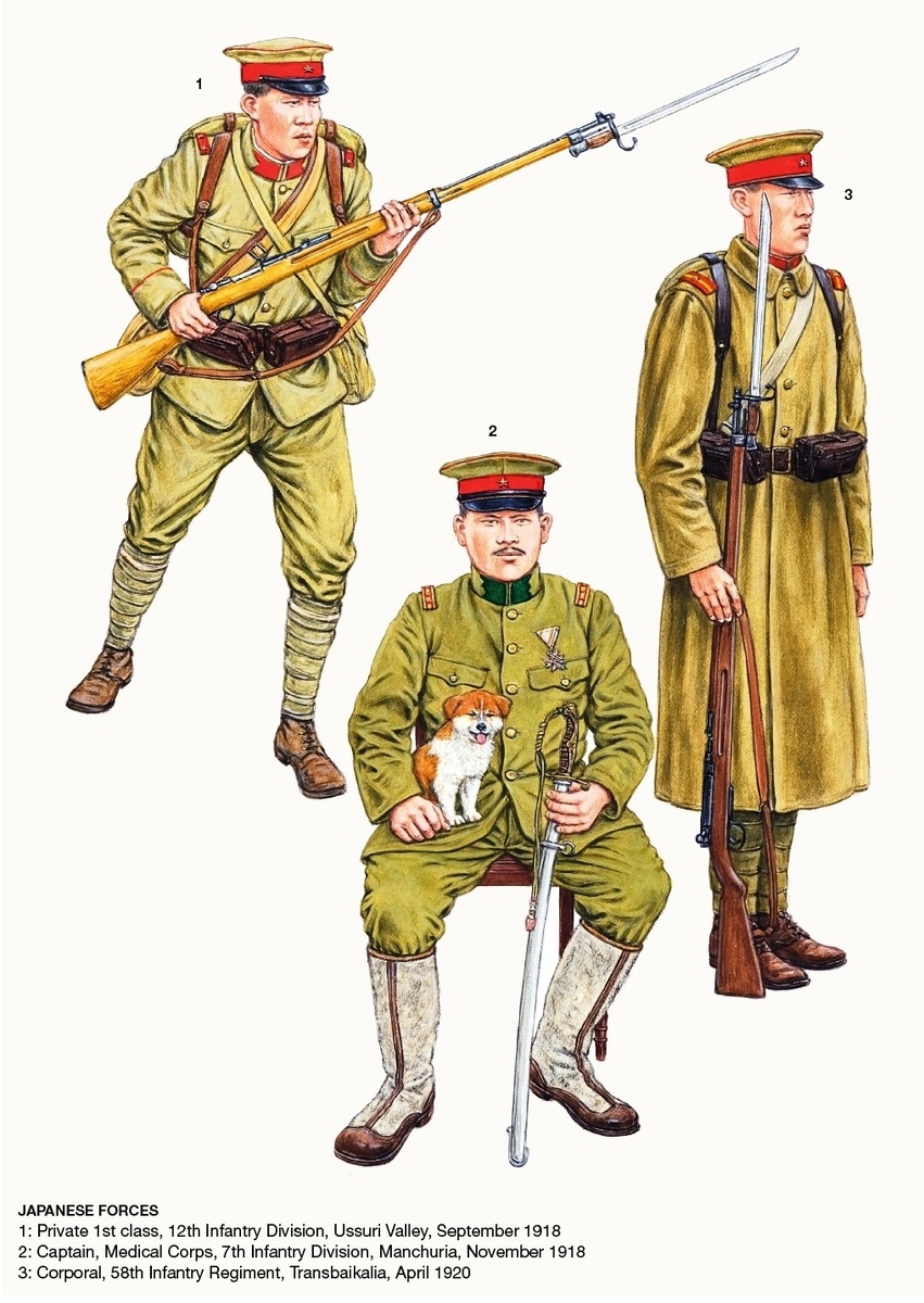 Японские интервенты. Художник Adam Hook. 