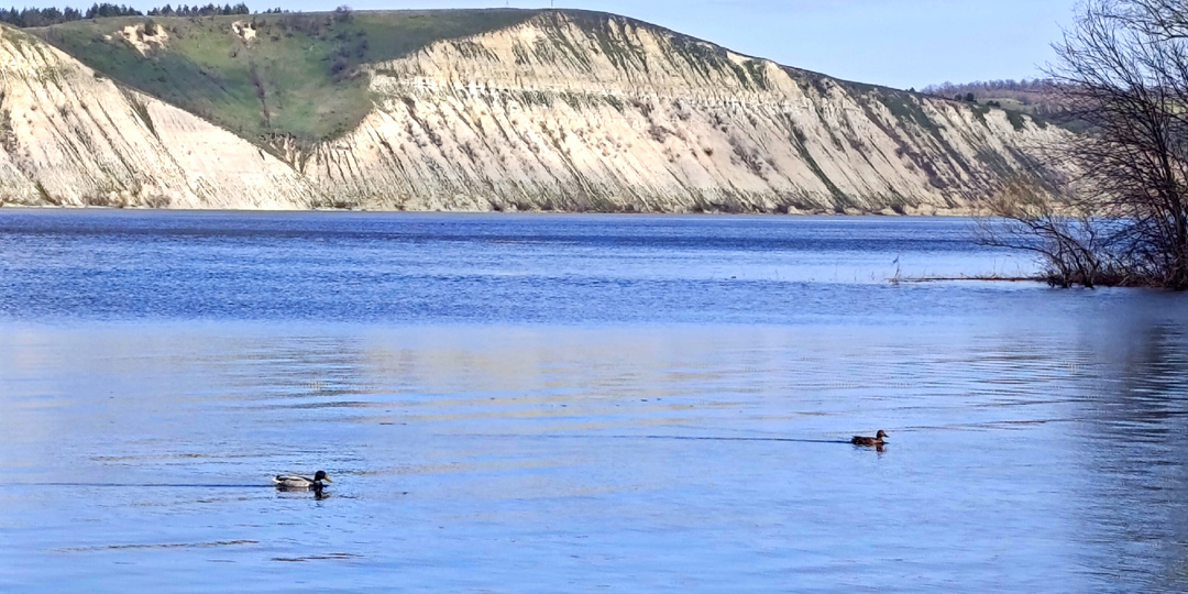 Весна пришла! Сомнений нет!