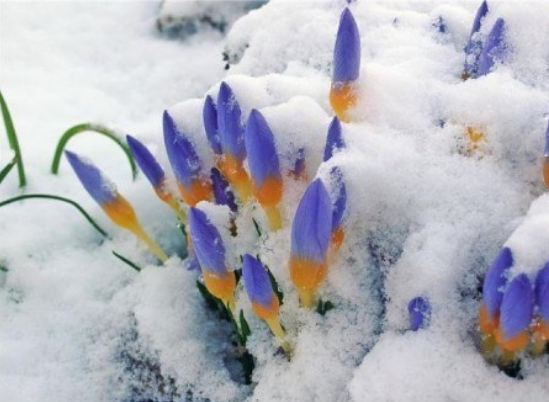 Фото из интернета