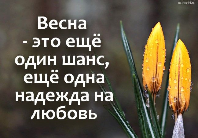 Фото из интернета.