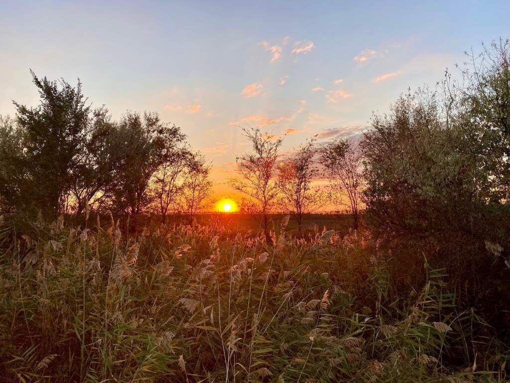    фото: "Веселовские вести" Людмила Сахарчук Веселовские вести