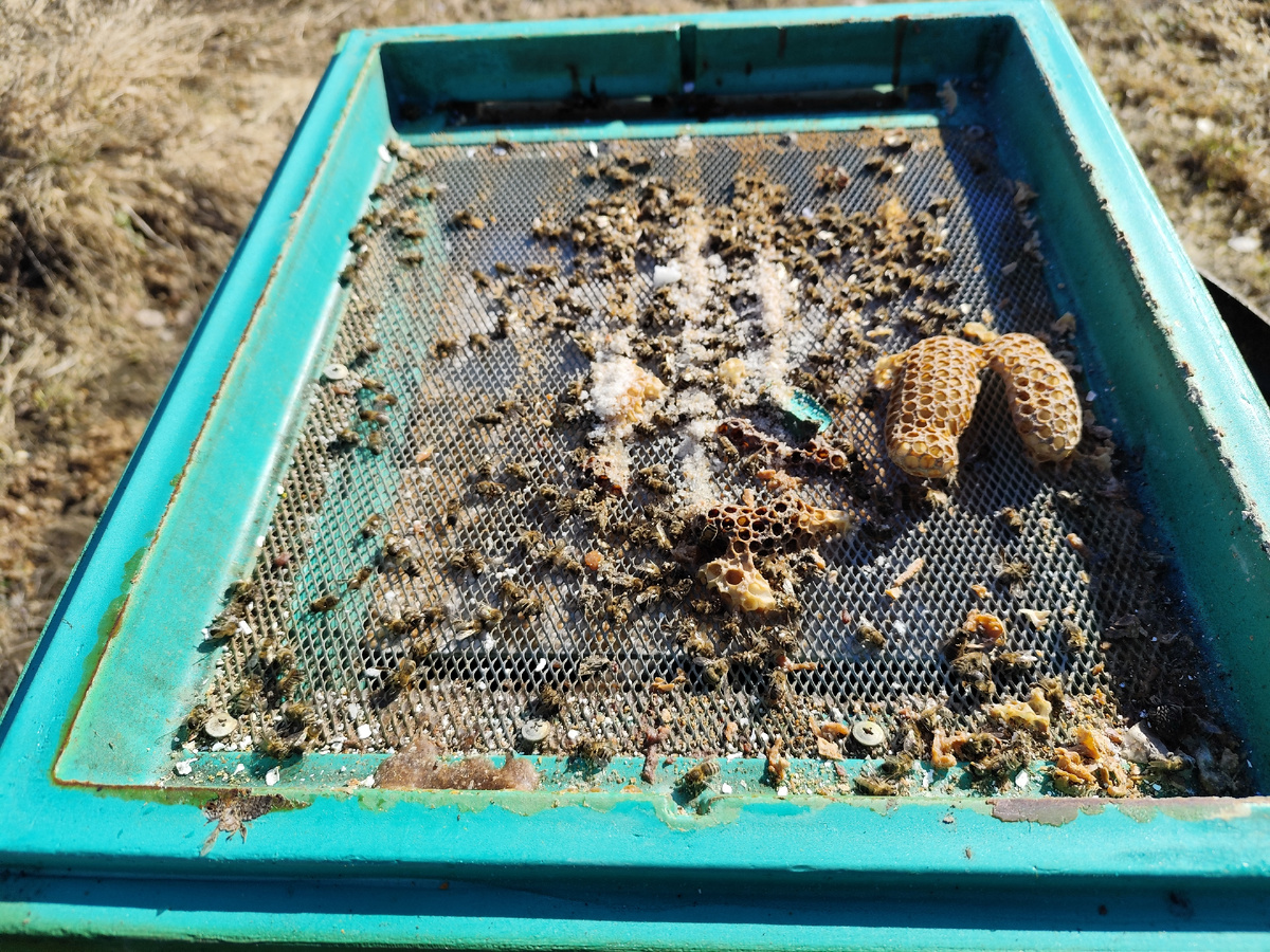 Вот столько подмора было в сильных семьях