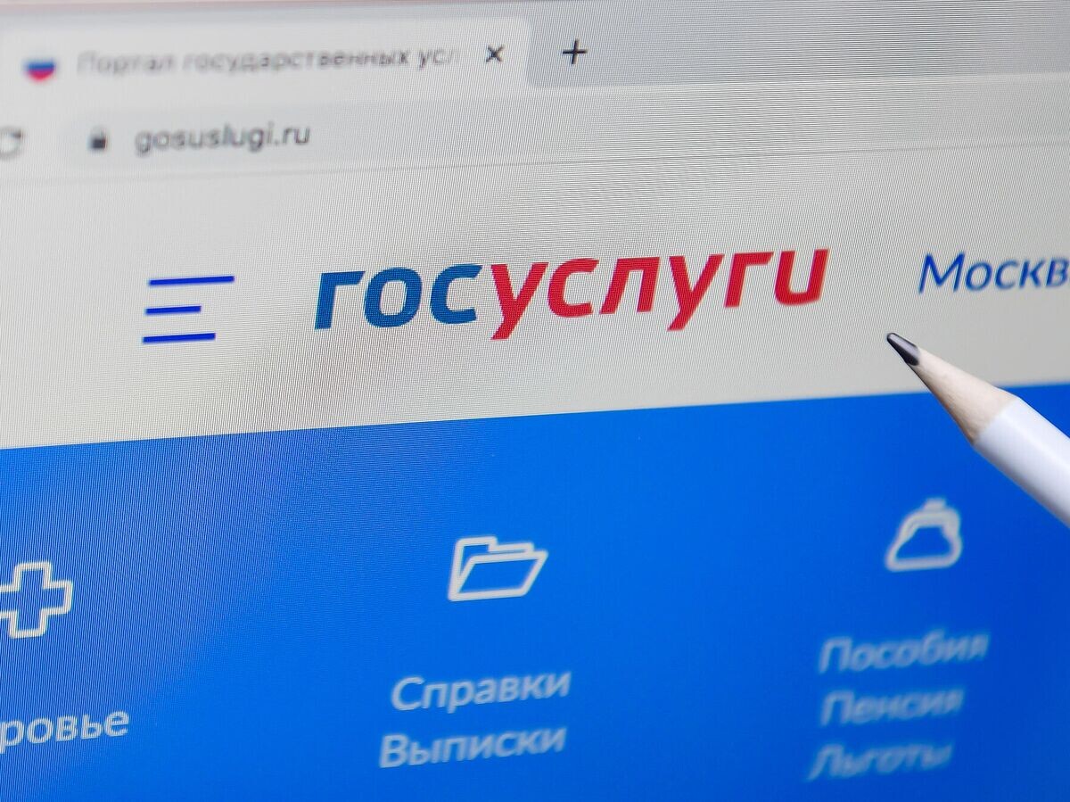    Справочно-информационный интернет-портал Госуслуги | © Владимир Трефилов