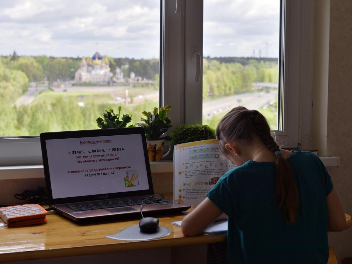    Дистанционное обучение школьников | © РИА Новости / Владимир Трефилов