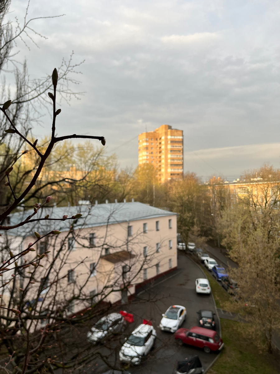 Золотой утренний час