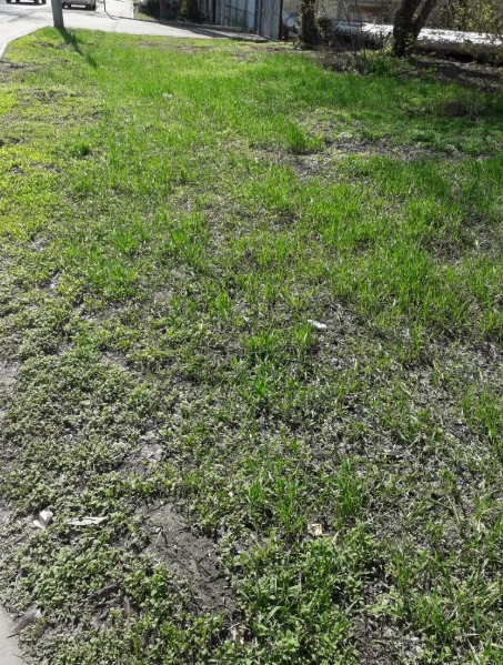 Фото будут с прогулки, для разбивки текста