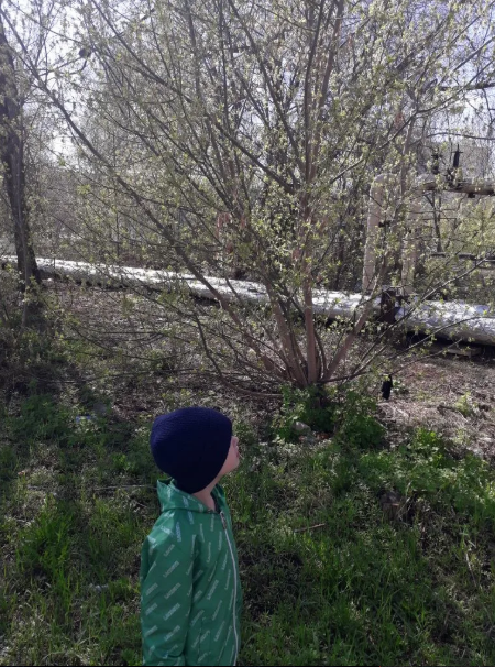 Миша любуется на листочки