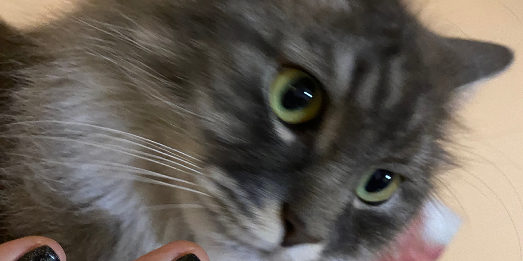 Скоро стану профи в дешманском белье