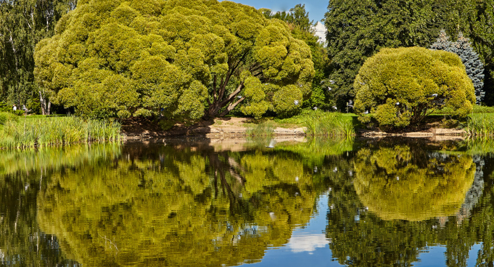 Журналист. Мудрость Бадмы.