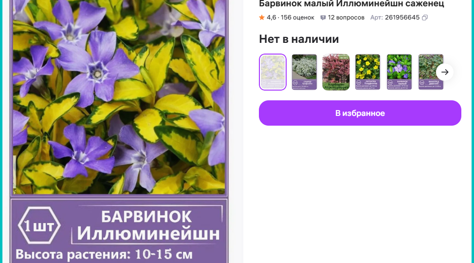 Барвинок иллюминейшн — как моя мечта пошла прахом