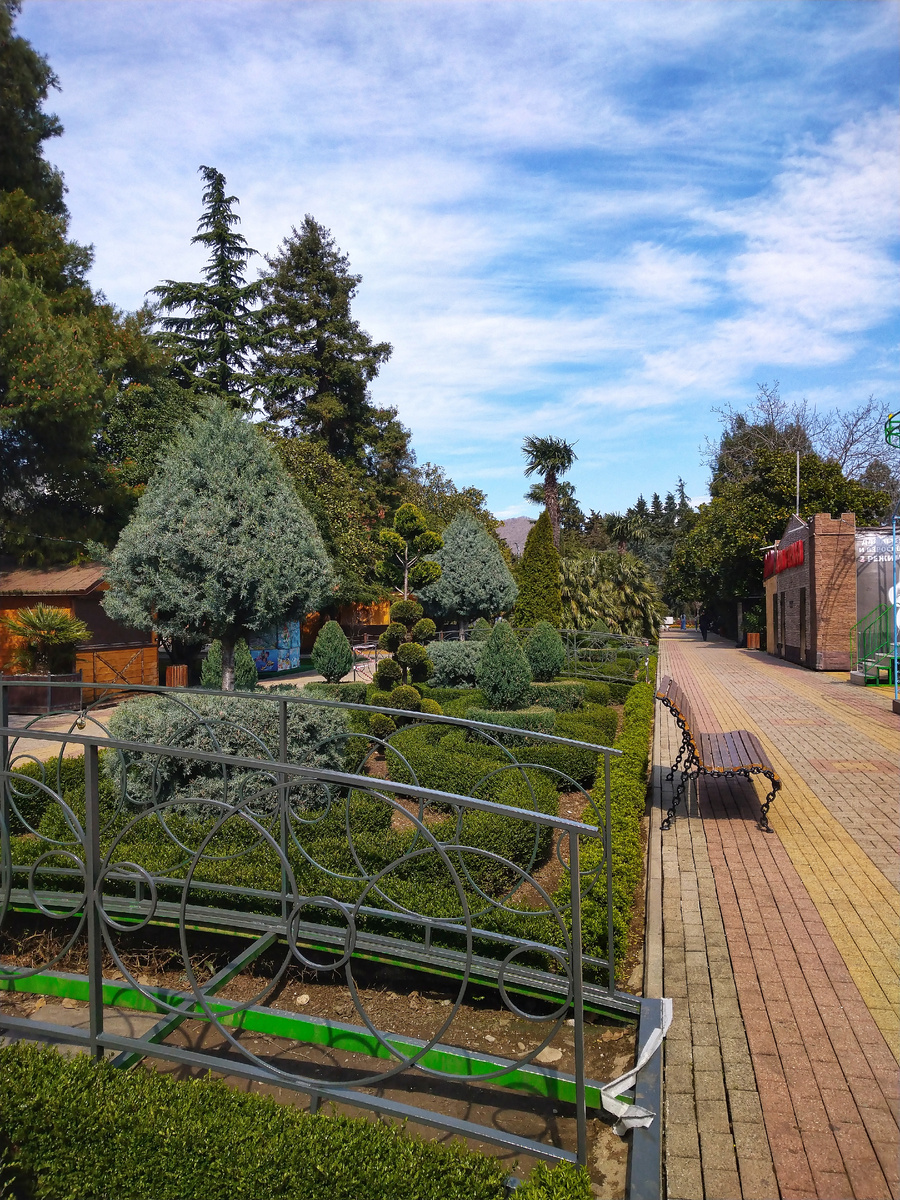 Лазаревское,парк.