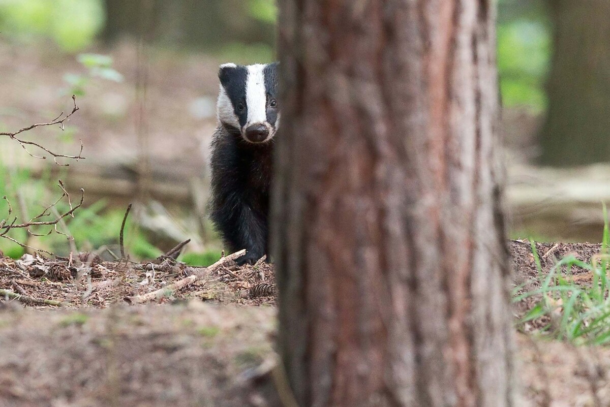  Фото: Hans Veth, Unsplash