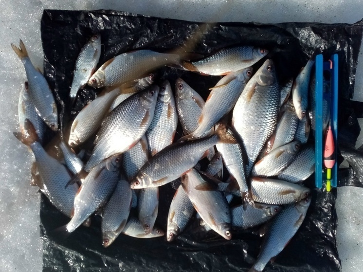     фото ВК Рыбалка в Рыбинске и Ярославской области