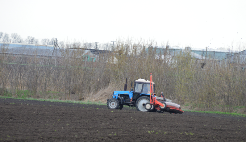 Фото автора. Апрель 2026. Руль влево, руль вправо, пошёл на разворот.
