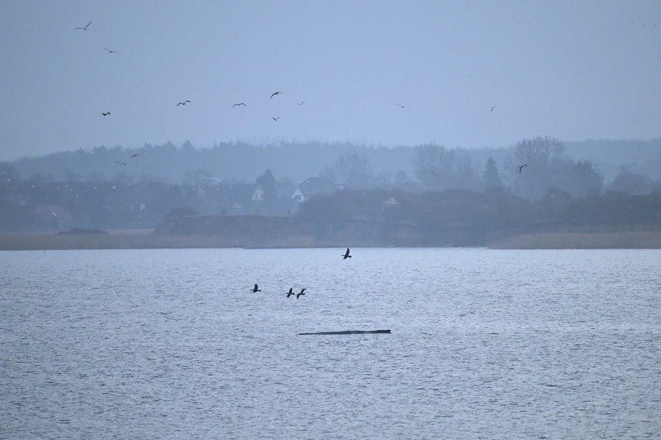    Defense News: в Литве смоделировали захват Прибалтики Россией за три месяца REUTERS