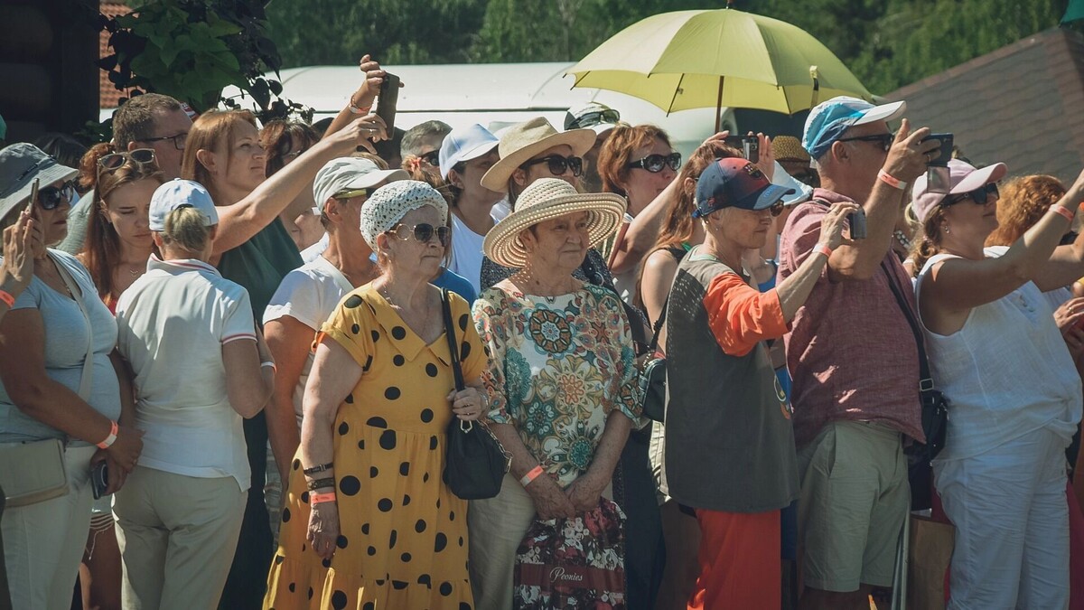    Что такое Zaycev.net   1MI