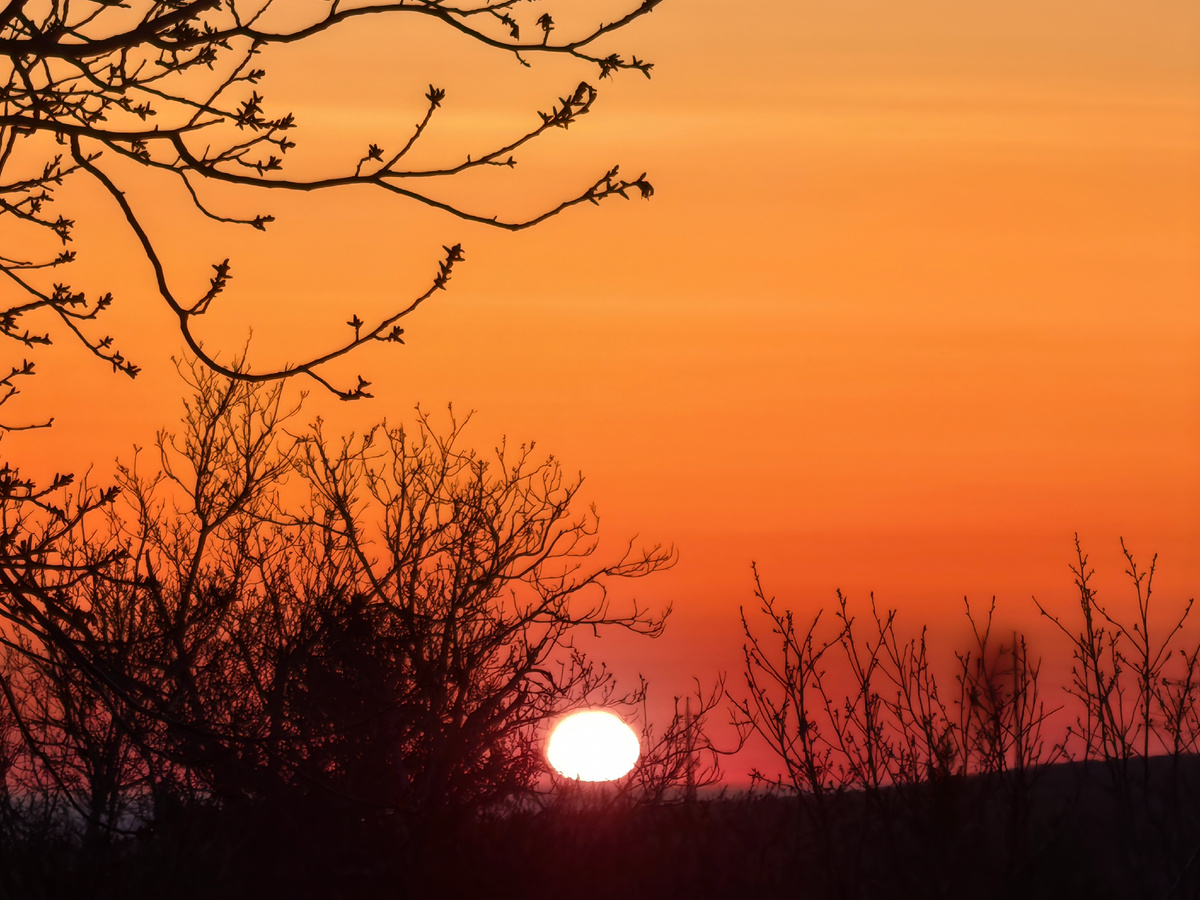 С утра немного иней был