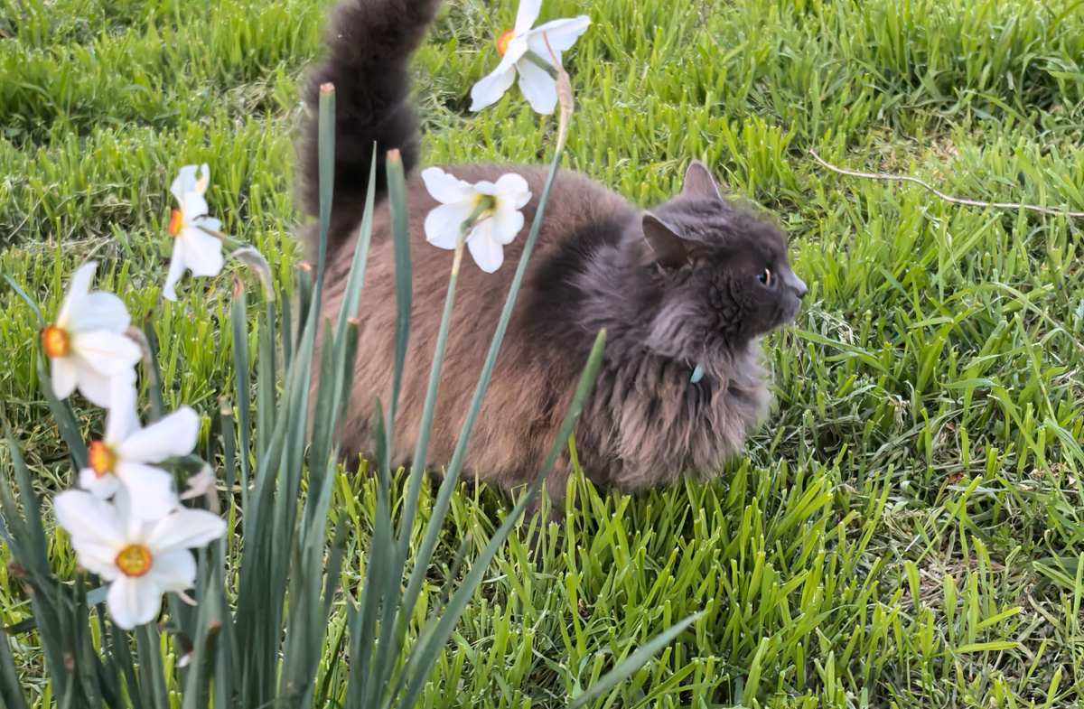 Я на работу не подписывалась