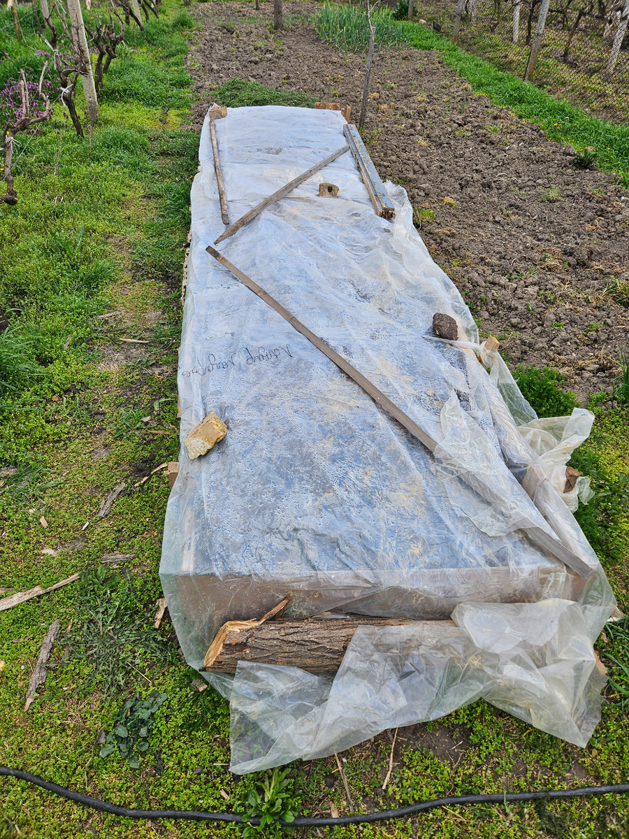 Грядка для огурцов