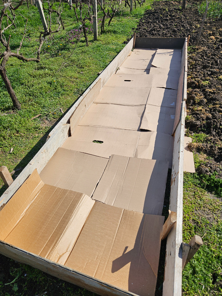 Так выглядел пустой короб