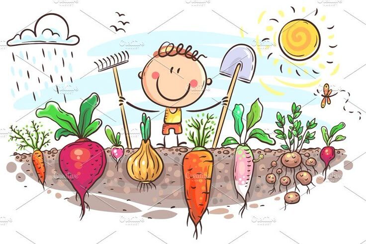 Рисунок из открытых источников