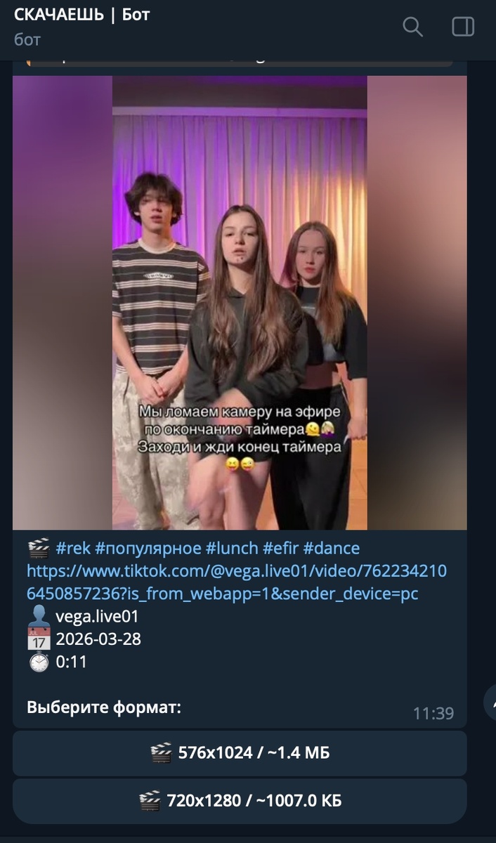 интерфейс бота для скачивния тикток видео без водяного знака