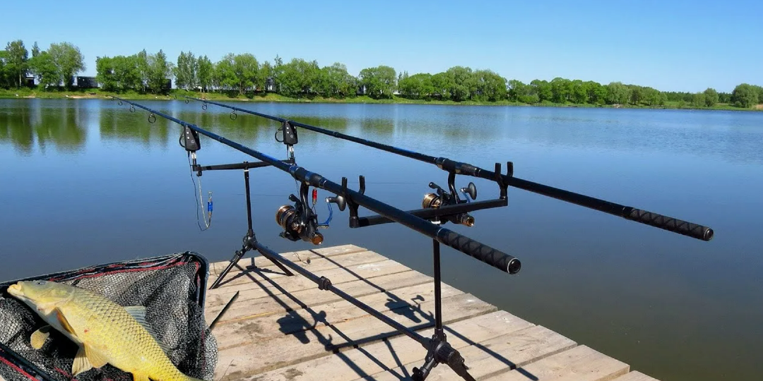 Карп перестаёт брать вечером: разбор причин по температуре и кислороду