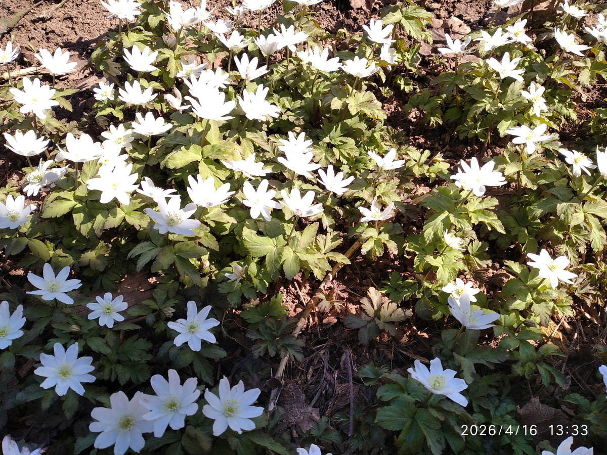 все фотографии в статье автора
