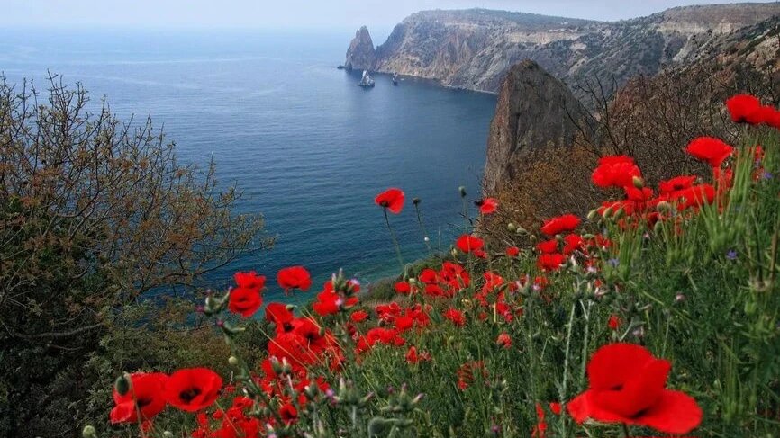 33 слова, которые расскажут о полуострове Крым