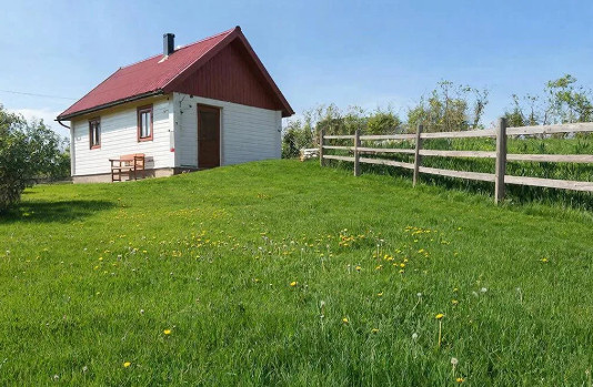 Лысые пятна, мох и жёсткая трава. Как я упустила аэрацию газона весной