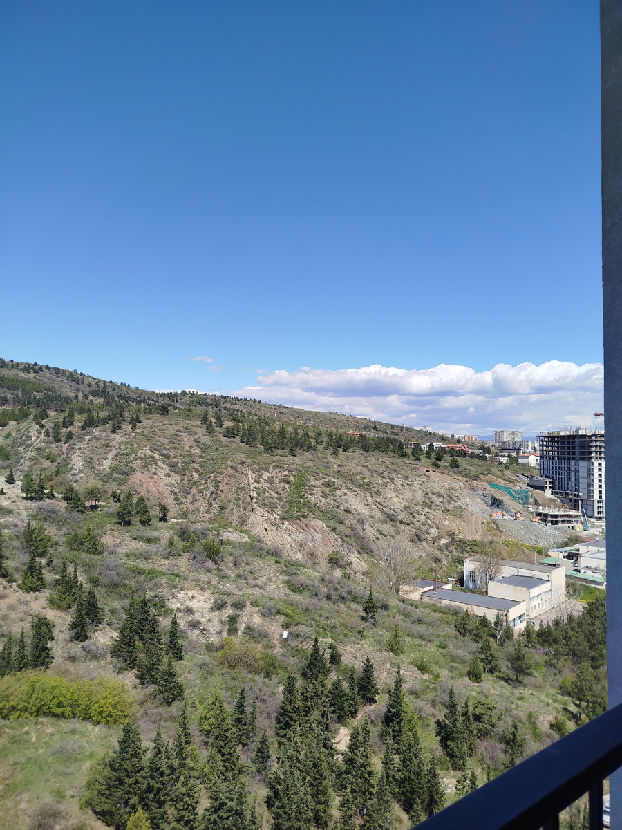 Вид из окна