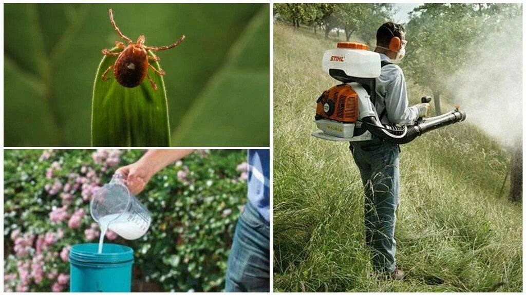 Фото Центр Дезинфекции