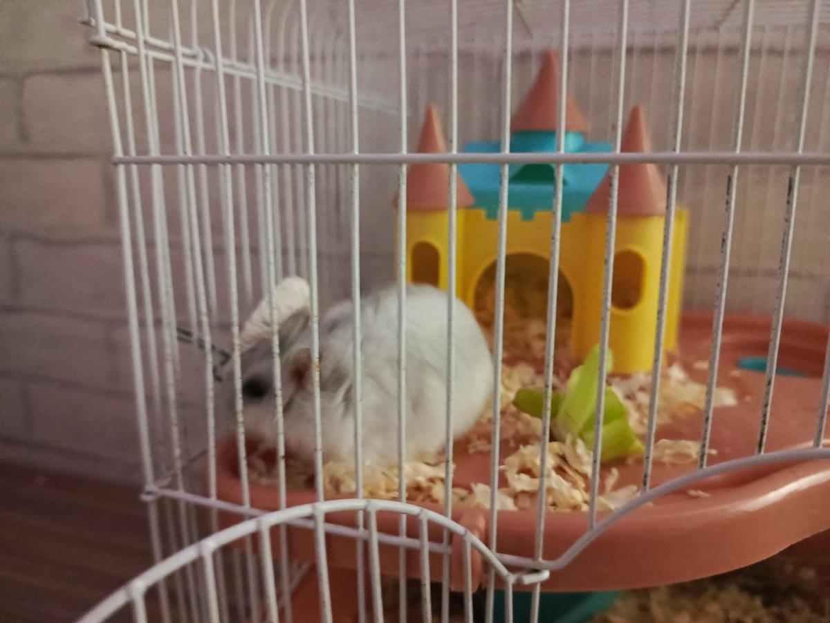    Редакция портала "Город Киров"