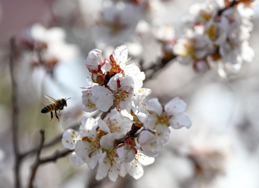 Фото Синьхуа