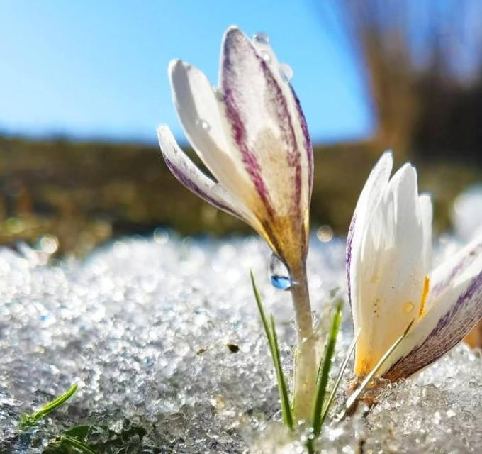Фото Gong Xinyu/China News Service