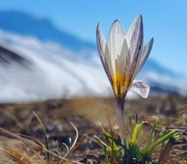 Фото Gong Xinyu/China News Service