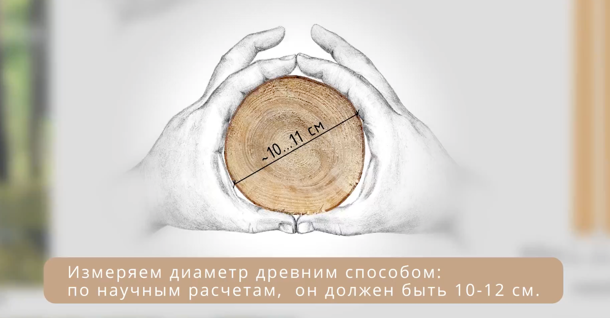 Скриншот из видео о том, как срубить дерево без топора – сначала его нужно выбрать, чтобы все 200 бревен для частокола были одинаковыми. Источник: Институт археологии Севера