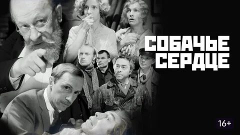 «Собачье сердце»: мистика, сатира и пёс в галстуке