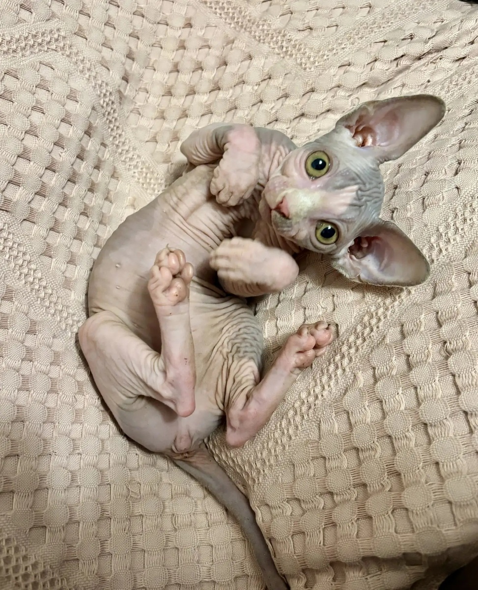 Наша Серафима